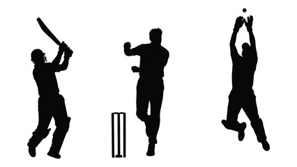 Cricket players in action silhouette isolated on white background, Vector © JASMIN