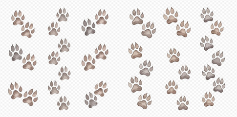 Multiple brown and grey animal paw prints arranged in various patterns on a light checkered background. © studio