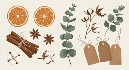 Boho Christmas vector collection featuring dried orange slices and organic botanical elements