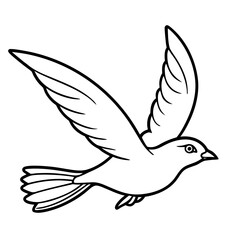 Bird in flight with spread wings isolated on