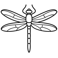 Dragonfly with intricate wing patterns isolated on