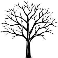 Silhouette of a bare tree with intricate branches isolated on