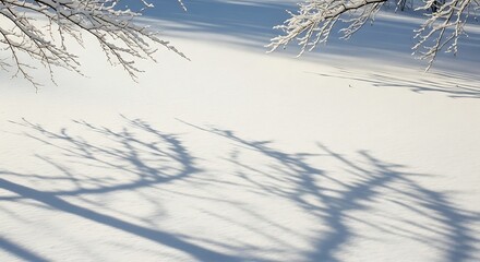 Snow covered branches casting long shadows on a bright winter day