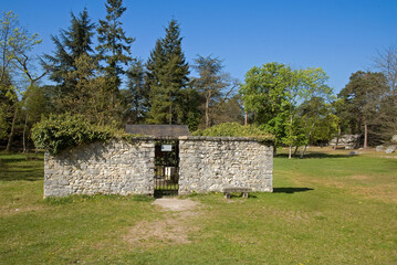 forêt de Fontainebleau