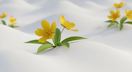 Delicate yellow wildflowers bloom on soft white fabric