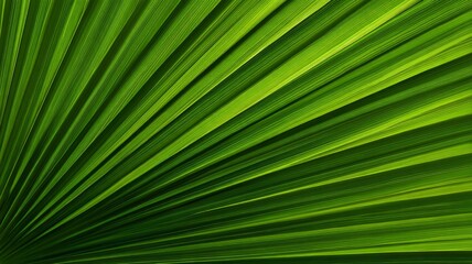 Obraz premium Radiant green palm leaf with vivid veins. AI image