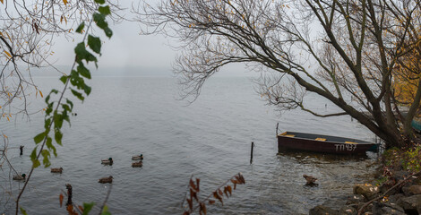 lake in fog in autumn, lonely boat and ducks at atmosphere of melancholy