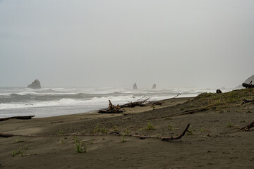 California Coast at Orick