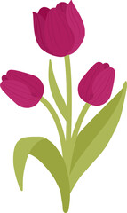 Fototapeta premium Purple tulip illustration in flat vector style for floral decorations, spring-themed designs, and botanical graphic projects
