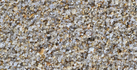 Close-up texture of natural beach sand grains