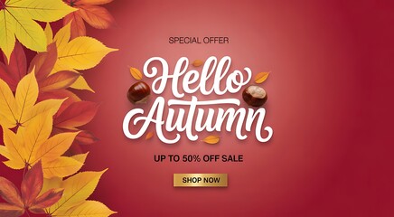Hello autumn sale banner with falling leaves, chestnut, and up to 50% off offer