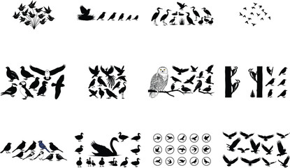 Diverse avian silhouettes collection birds flying
