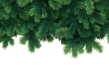 Obraz premium Lush Green Fir Branches as a Christmas Decoration Border