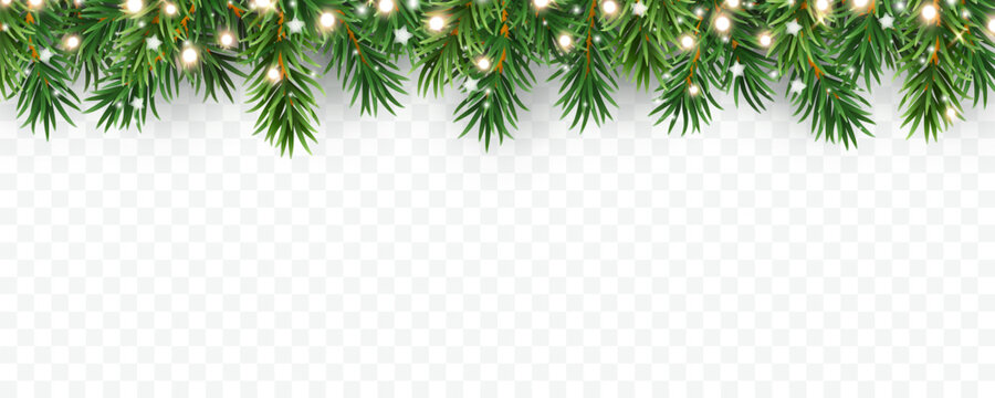 Border with green fir branches, lights and white stars isolated on transparent background. Pine, xmas banner. Vector Christmas tree garland decoration