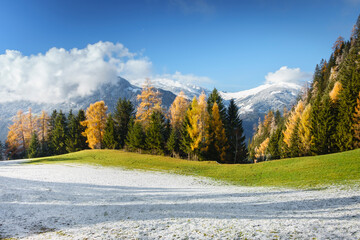 Herbst und Winter auf einem Panorama