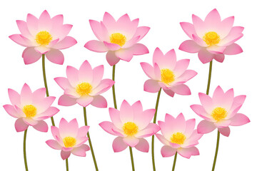 Realistic Lotus Flower Collection &ndash; 10 Transparent PNG Floral Elements