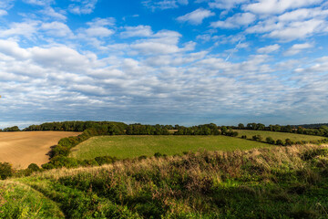 Obraz premium Chess Valley walk following the River Chess in the Chilterns Area of Outstanding Natural Beauty. The walk starts from Rickmansworth Station and finishes at Chesham Station.