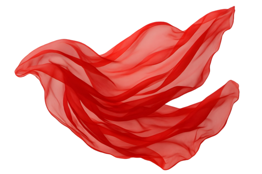 red rose petals on white