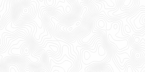 White wave paper curved reliefs abstract background, Abstract topographic contours map background. digital topographic contour map concept space geometric strip grid line. Natural discovery of maps.