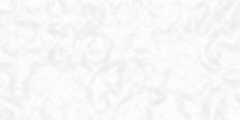 White wave paper curved reliefs abstract background, Abstract topographic contours map background. digital topographic contour map concept space geometric strip grid line. Natural discovery of maps.
