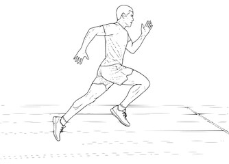 Obraz premium vector_lineart_136