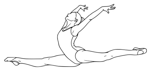 Fototapeta premium vector_lineart_174