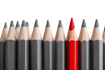 Naklejka premium A single red pencil stands out among a row of gray pencils (1)