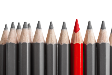 A single red pencil stands out among a row of gray pencils (1)