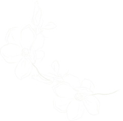 White Outline Magnolia Flowers and Buds on Black blossom