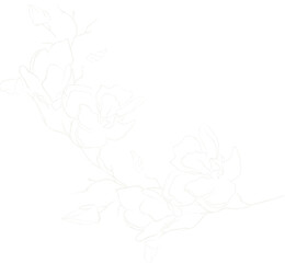 White Orchid Flowers and Buds Line Drawing on Black