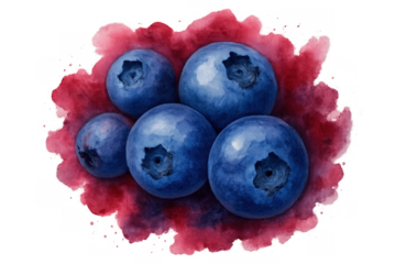 Blueberries showing a group of fresh, ripe berries with a splash of abstract red watercolor, hand painted on a transparent background