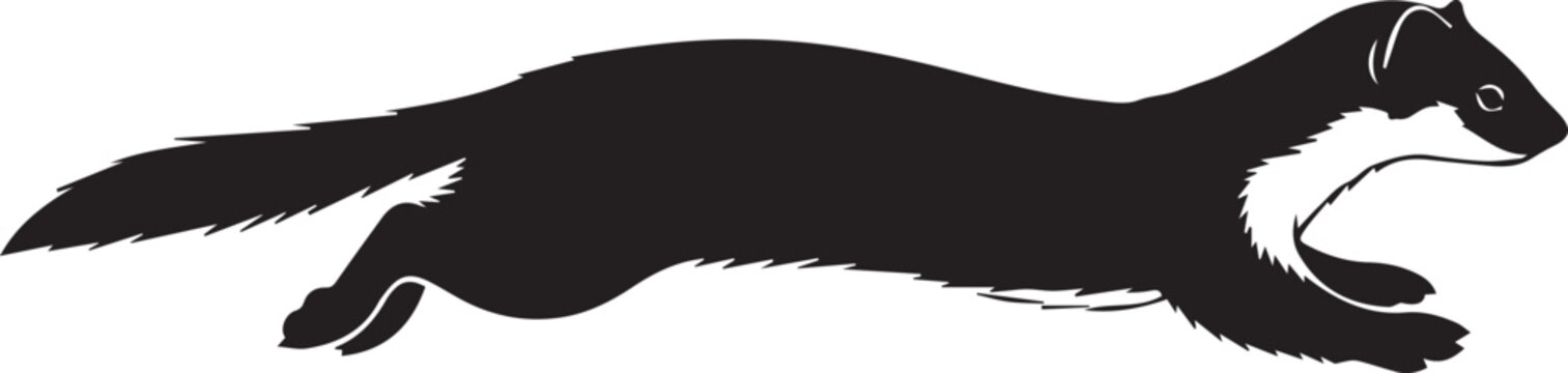 Black silhouette of a running stoat or weasel in dynamic motion against a