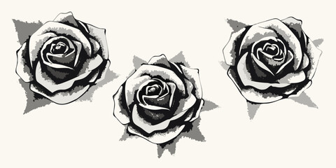 Three stylized black and white roses arranged in a pattern against a light background
