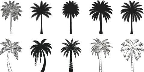 Collection of ten diverse palm tree silhouettes in black and white for tropical and vacation themes