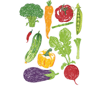 Local vegetable market artwork for t shirt print, poster, sticker and other uses. Fresh vegan food. Vegetable love club. Vegetable set design. Organic vegetable farm.