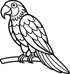 Fototapeta premium Parrot outline drawing Vector