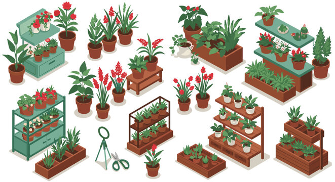 Diverse indoor and outdoor plant collection in isometric style for gardening enthusiasts