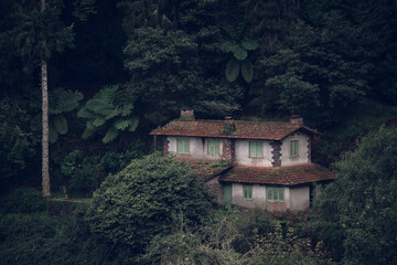 house in forest