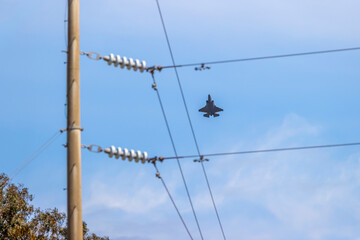 Photograph of a high-powered Jet aircraft flying at speed in regional Australia