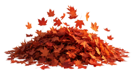 Pile of autumn leaves isolated on transparent background, a colorful symbol of the fall season and changing foliage