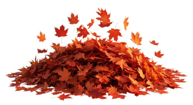 Pile of autumn leaves isolated on transparent background, a colorful symbol of the fall season and changing foliage