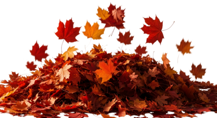 Pile of colorful autumn leaves isolated on transparent background, creating a vibrant and seasonal scene of natures beauty