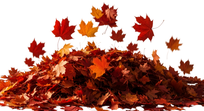 Pile of colorful autumn leaves isolated on transparent background, creating a vibrant and seasonal scene of natures beauty