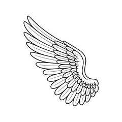 A simple line drawing of a single white bird wing on a white background.