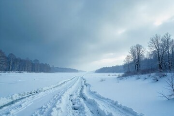 Fototapeta premium A desolate, icy landscape stretches to the horizon under a bleak, grey sky Frozen ground, stark trees, and a chilling windswept atmosphere evoke a sense of profound coldness , temperature, frost