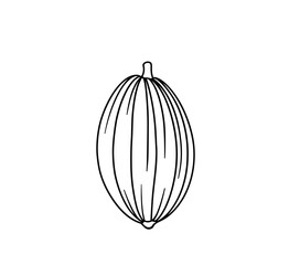 Cacao pod illustration in minimalist black and white design  