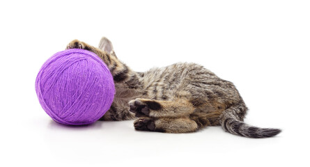 A gray kitten hiding behind a purple ball of yarn.