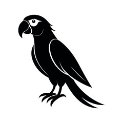 Macaw Bird Black Silhouette Line Art Vector Illustration