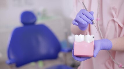 Female dental professional demonstrating treatment of caries and pulpitis of nerve canal of tooth model in clinic, sunlight.