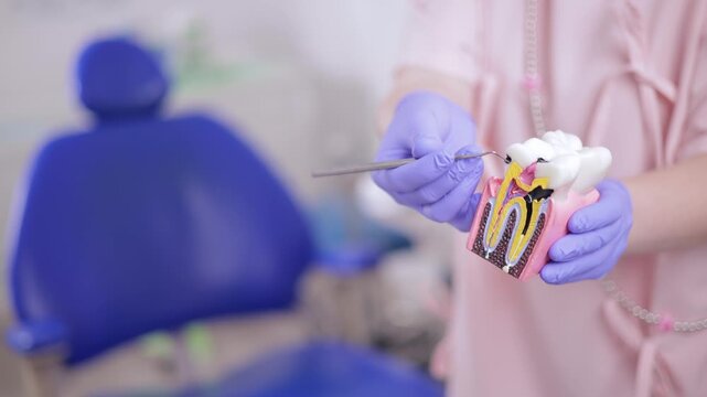 Gloved hands demonstrating dental procedure with drill treatment of caries and pulpitis of nerve canal on tooth model, banner stomatology dentistry with white light.